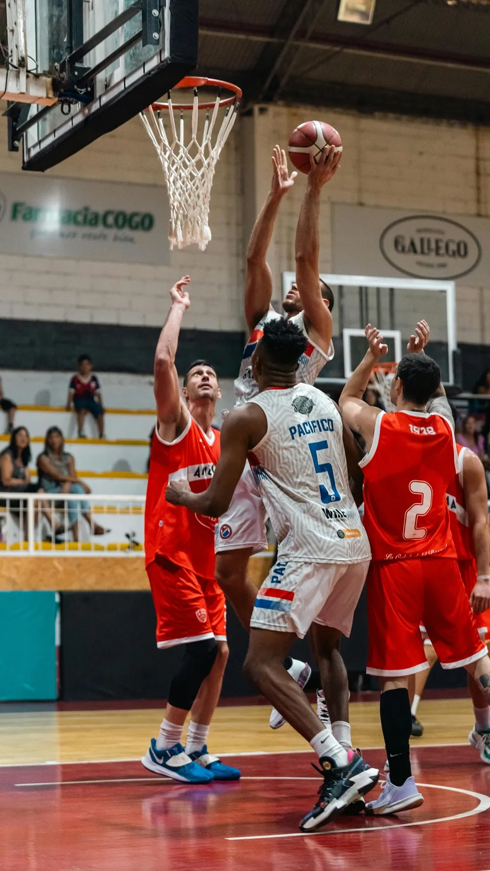 농구 슛 종류와 특징: 반드시 알아야 할 12가지 슛 완전 분석 가이드