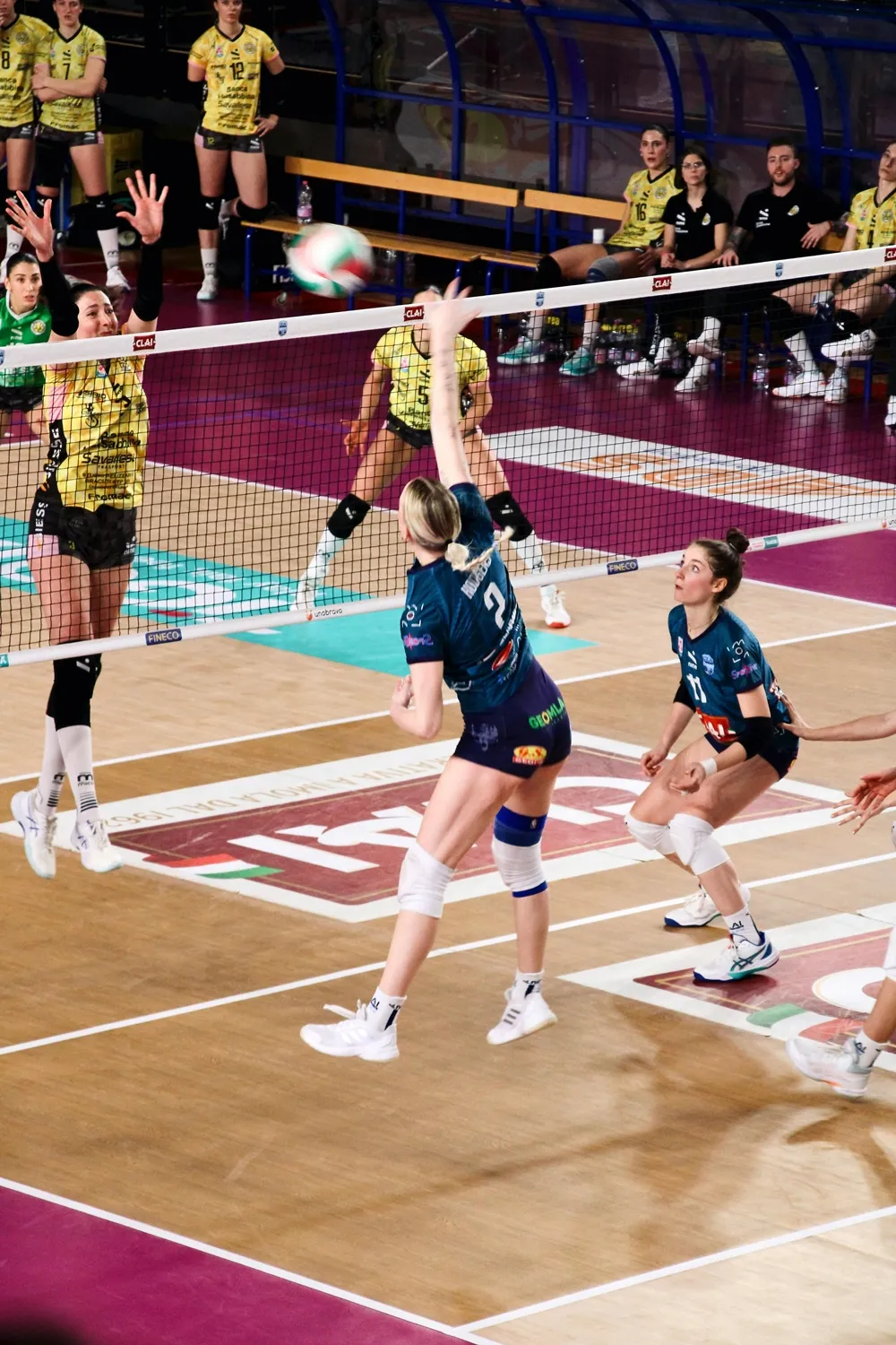 배구 경기 흐름 설명: 초보자와 생활체육인을 위한 완벽 가이드